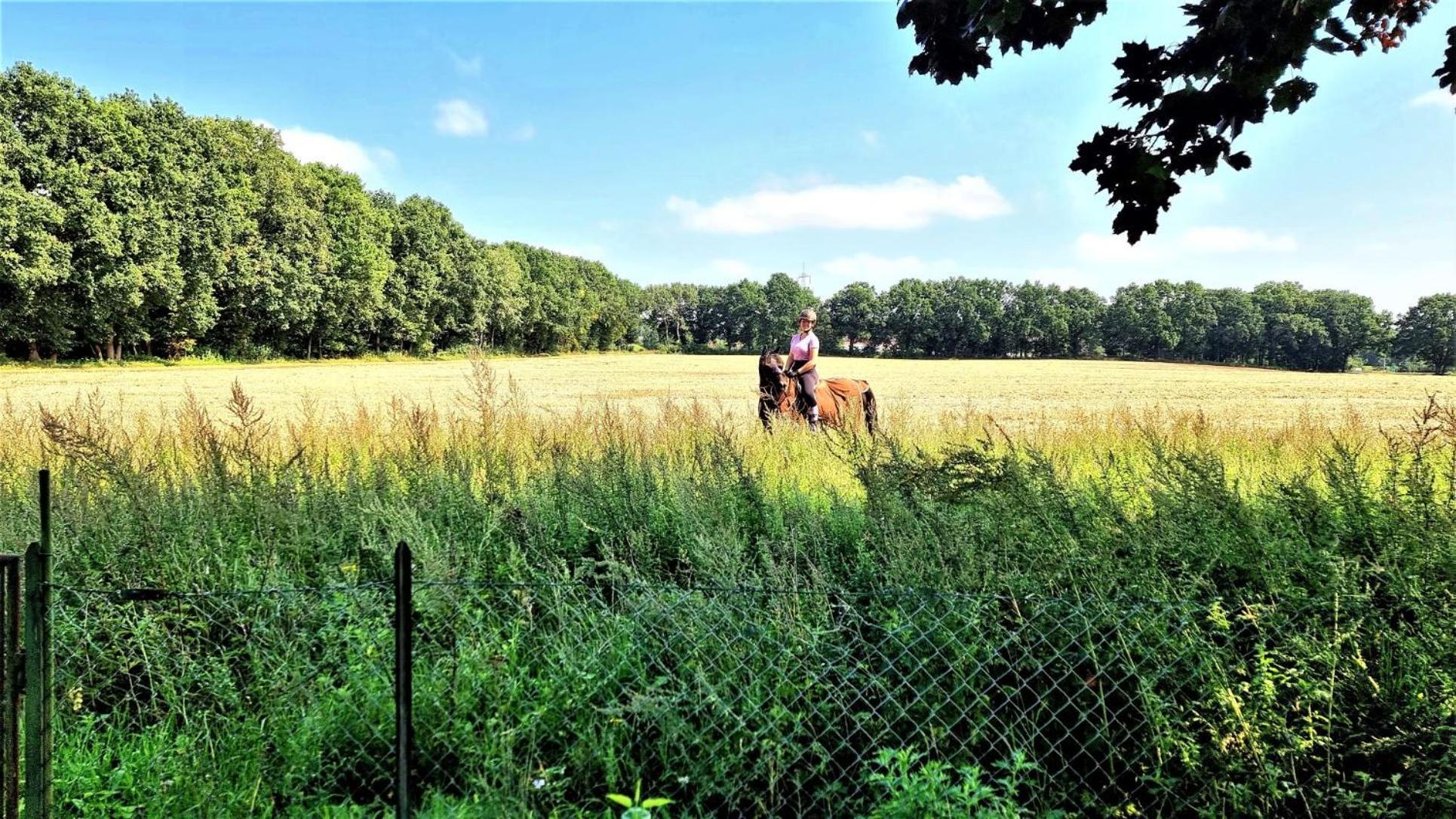 Lueneburg-Melbeck, 105 Qm Mit Fernsicht, Ruhige Sackgasse, Fussbodenheizung, Wallbox Gegen Gebuehr Bagian luar foto