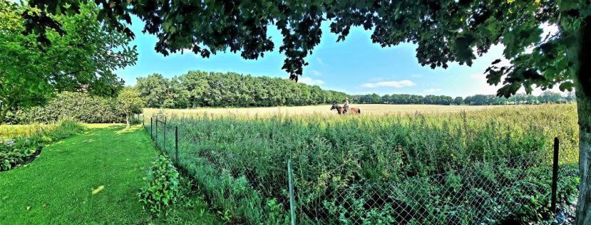 Lueneburg-Melbeck, 105 Qm Mit Fernsicht, Ruhige Sackgasse, Fussbodenheizung, Wallbox Gegen Gebuehr Bagian luar foto